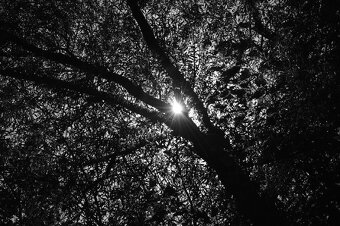 Nikon D5000 + kompletní výbava - 15