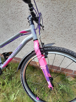 ROCK MACHINE Thunder 26 Gloss Grey/Pink/Violet - 15