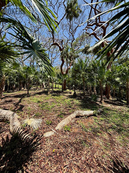 Atocha Lot 1&2 -First Bight, Roatan - 15