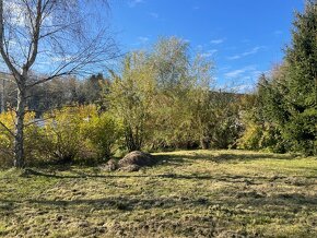 Prodám st. parcelu 2012 m2 ve Vydří u JH - 15