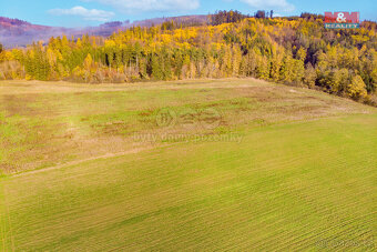 Prodej pole, 21407 m², Mochtín - 15
