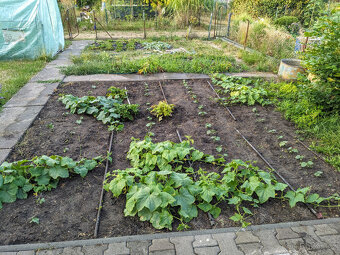 Prodej zahrady, Nové Jesenčany, Pardubice - 15