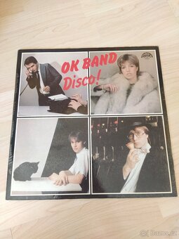 Prodám větší množství LP - domácí (seznam č.2.) - 15