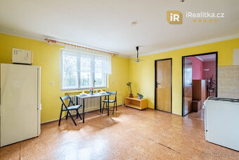 Prodej velkého domu s garáží a zahradou, 850 m2 - Tábor - 15