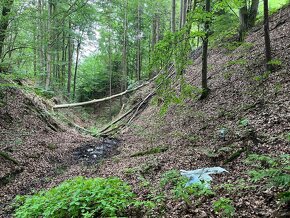 Prodej chalupy -  Podhora u Pěnčína - 15