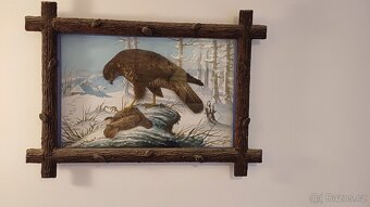 obrazky foto v rámu pejsci a kočičky a modern - 15
