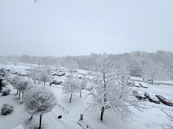 Prodej bytu 3+1, 82m2 - Havířov - 15