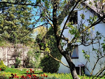 Prodej RD - chalupy 150 m2, pozemek 558 m2, Sovenice - 15