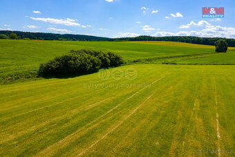 Prodej louky, 2373 m², Blížejov - 15