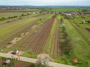 Prodej, pozemky/vinice/sady, 1280 m2, Prušánky, Hodonín [ID  - 15