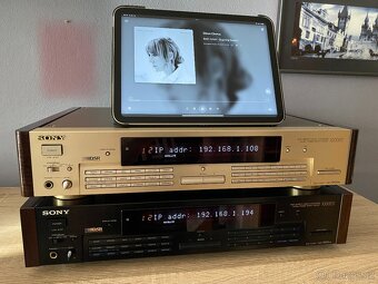 Sony DAR-1000ES - verze 2.1 CHAMPAGNE/BLACK - 15