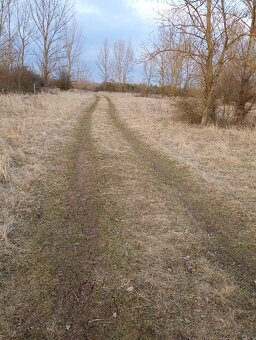 Pozemek u jezera Pístník, přes 1,8 ha, blízko dálnice D8... - 15