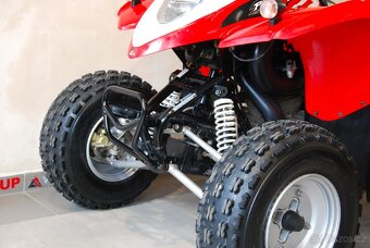 Polaris Phoenix 200 - 15