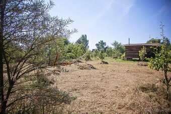 Prodej zahrady 3146 m2 Louny Lužerady - 15