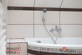 Prodej, komerční/ubytování, 261 m2, Stará Rudná 210, 79331 R - 15