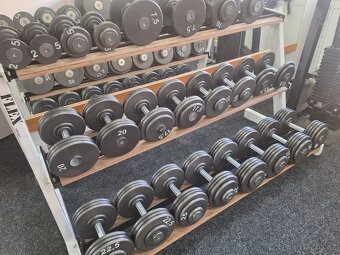 Jednoručky profi 2,5-100kg - 15