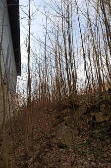 Údržba zahrad, lesů, domů i bytů - hodinový manžel - 15