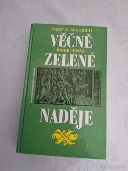 Plectranthus red + keramický obal - 15
