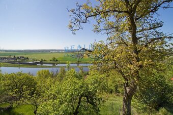 Prodej rekreační chaty, 25 m2, pozemek 1039 m2, Hoštka - 15