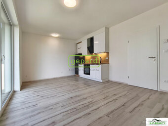 Pronájem bytu 1+kk 32,60 m² Vysoká, Plzeň - Litice - 15