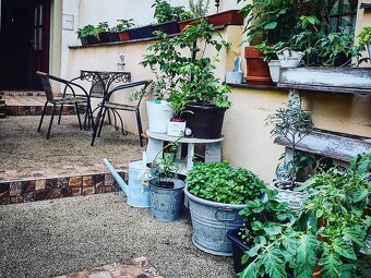 Truhluiky aj na zahradku - 15