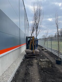 Údržba zeleně - 15