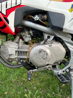 Pit bike Stomp wpb race 155 - 15