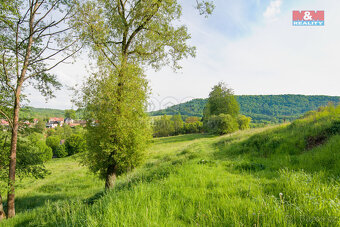 Prodej chalupy ve Starém Šachově s pozemky 8960 m2 - 15