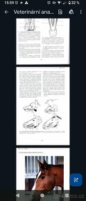 VŠ Skripta v PDF formátu - ČZU, Veterina, Ekonomie - 15
