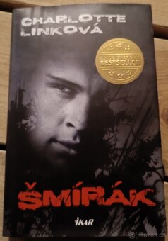 Knihy - detektivky, historické detektivky - 15