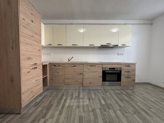 Pronájem bytu 1+1 41m², České Budějovice - 15