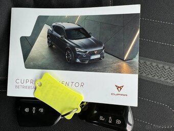 Cupra Formentor MATT 1,4 Tsi 180kw e.hybrid,360°kamery,DCC - 15