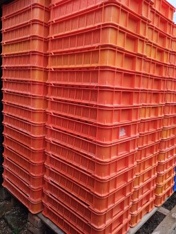 Plastové přepravky OZ ,nízké, barvené - 15