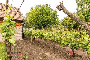 Prodej, domy/rodinný, 403 m2, 69186 Perná, Břeclav [ID 69497 - 15