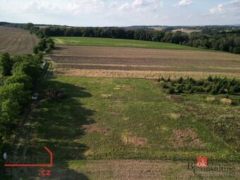 Prodej, pozemky/bydlení, 3000 m2, Lično , Bačalky, Jičín [ID - 15