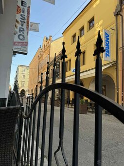Pronájem obchodních prostor - 15