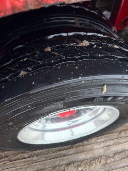 Podvalnik Langendorf - 15