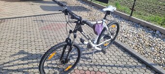 Kolo Author mystic mtb XC - 15
