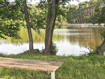 Pronájem, byt 1+kk, 54 m², Plzeň - Bolevec, ul. Plaská - 15