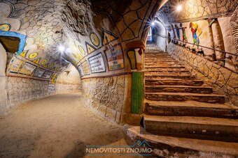 Prodej věhlasné nemovitosti Malovaného sklepa v Šatově, mezi - 15