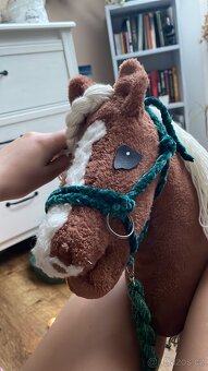 Hobby horse - 15