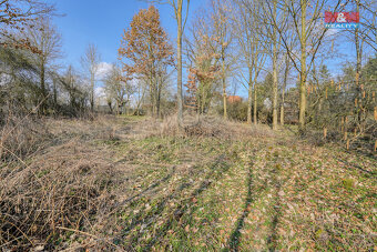 Prodej pozemku k bydlení, 1941 m², Ždírec - 15