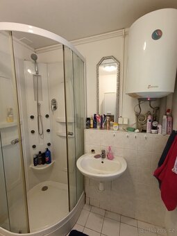 Prodej chata 41m2, Hracholusky - Radost - 15