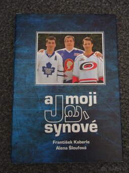 Knihy,Česká cesta ke svobodě,Stoletý maraton - 15