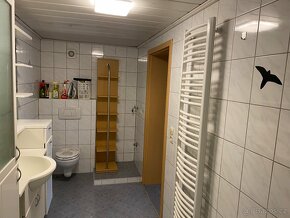 PRODÁM NEBO PRONAJMU DÚM V REGENU-SRN-3 BYTY - 15