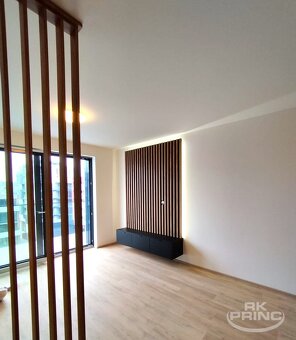 Pronájem bytu 1+kk 37 m² Šrámkové, Praha - Žižkov - 15