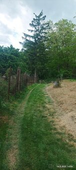 Pronájem zahrady 400 m2 - 15