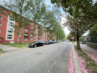 Byt 3+1 s balkonem a šatnou, 8.května, Šumperk - 15