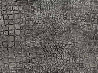 Nový válec SPIVER Coccodrillo se šířkou 18 cm - 15