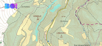 Souhrn lesních pozemků Pěčíkov u Městečka Trnávky - 15